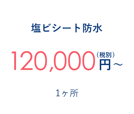 塩ビシート防水 120,000円～